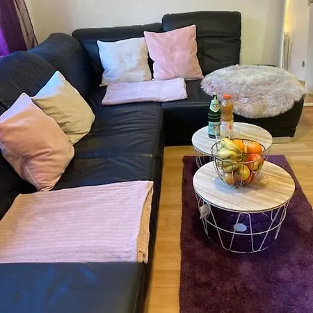 Apartment Toll Am Rhein Netflix Internet 1000 Mbits, Free Parking