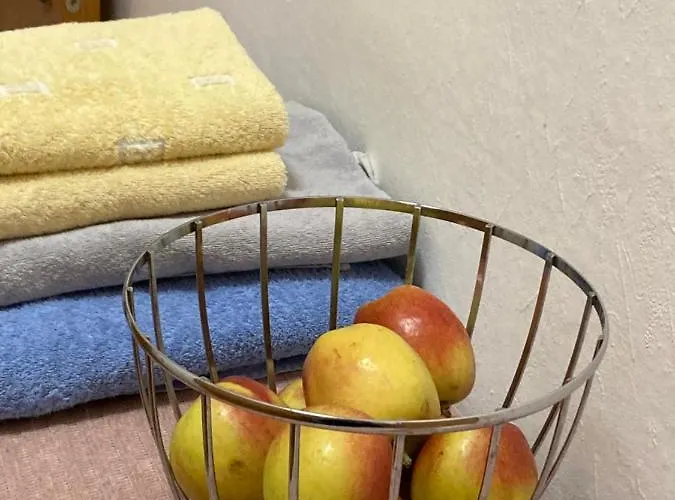 Apartment Am Rhein Ganze Netflix Internet 1000 Mbits, Free Parking